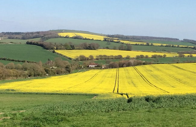 Shepherds Barn - Foto 15