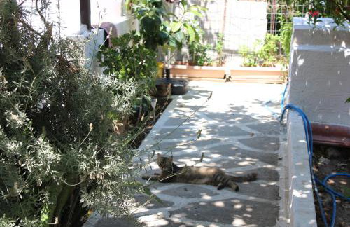 Aaron Apartments - Foto 31