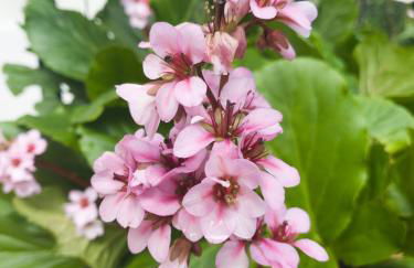 Casa Kendra - Foto 21