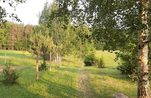 GREEN HOUSE - Foto 46