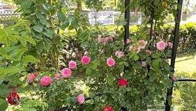 Villa Florentine - Foto 2