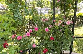 Villa Florentine - Foto 2