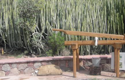 Casa El Pino - Foto 32