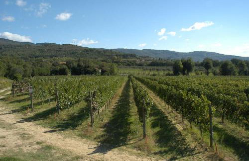 La Casa Colonica wine and oil - Foto 22