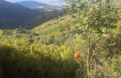 La casita de la señora María - Foto 37