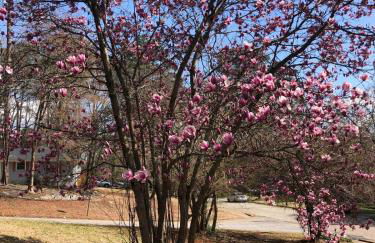 Spacious 5 Bedroom Home in Decatur Near Downtown Atlanta Ideal for Families & Groups - Foto 18