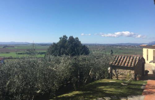 Agriturismo Borgo tra gli Olivi - Foto 47
