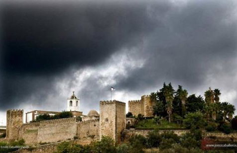 Plaza del Pacifico La Bazana - Foto 24