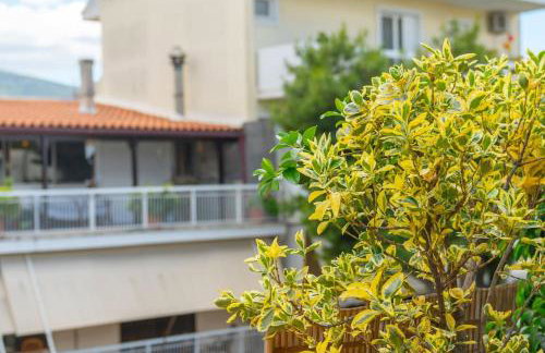 The HostMaster Ethnic Touch Feel Studio - Photo 16