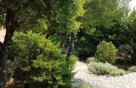 Apartments Villa Temer - Photo 71