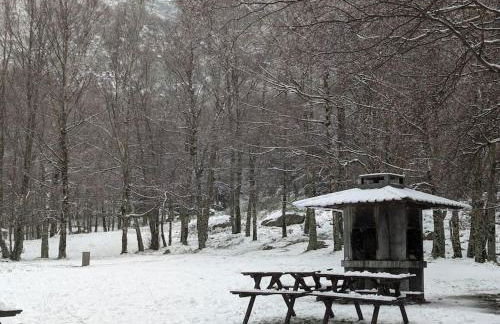 Lugar da Borralheira - Foto 35