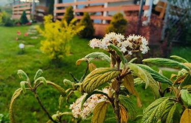 Domki w Bieszczadzkiej Dolinie - Foto 46