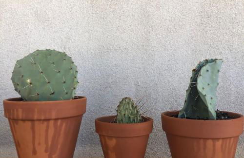 The Land In The Sky Retreat - Foto 32