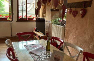 Gîte " le Schmoutzi" Duplex centre historique Riquewihr - Foto 32