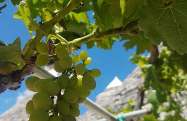 I Trulli Di Nonno Giovanni - Foto 32