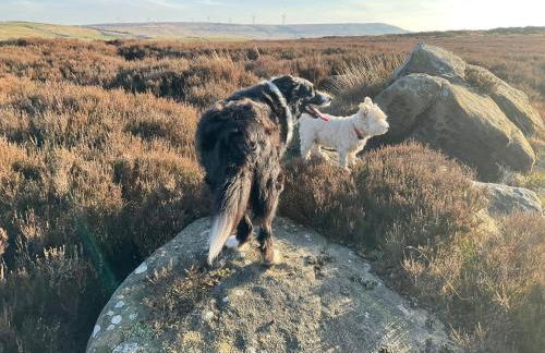 Little Acre - Foto 42