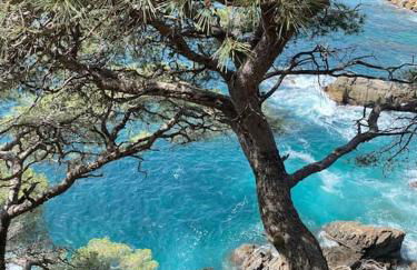 Casa Blava Beach House - Foto 49