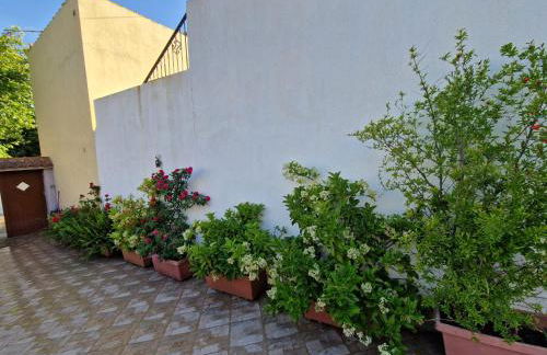 Afroditi's 1 - Photo 66