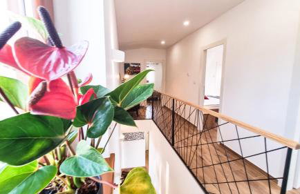 Kuća Roža - Dolinci - Foto 20