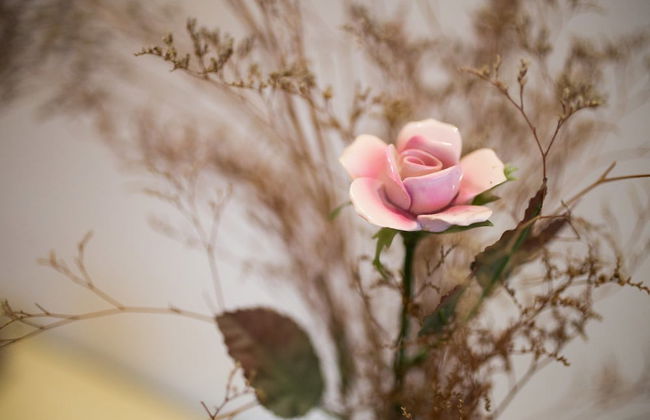 Alexander's Penthouse - Foto 45