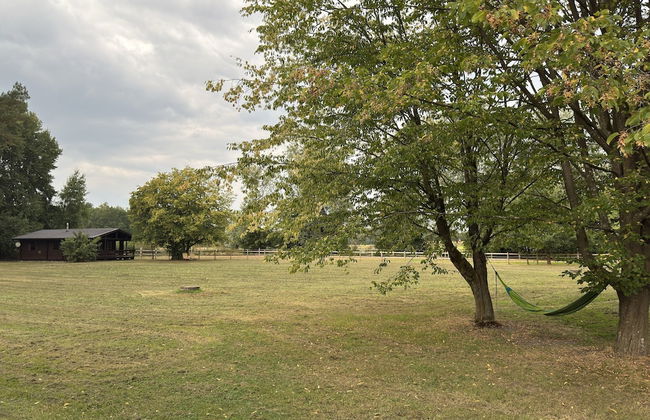 Unterkunft in Eschede - Foto 18