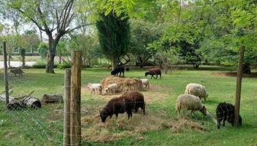 Maison de campagne avec jardin - Foto 2