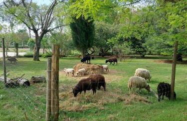 Maison de campagne avec jardin - Foto 2