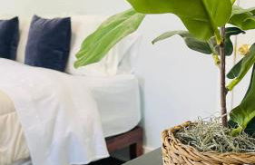 Centrally Conveniently Located - Foto 1