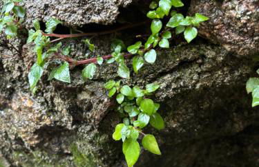 Luna de Gredos - Dormitorios con baño en suite - Foto 23