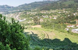 Quinta da Mata - Foto 38