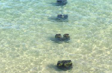 Beaconsfield Holiday Apartments - Foto 38