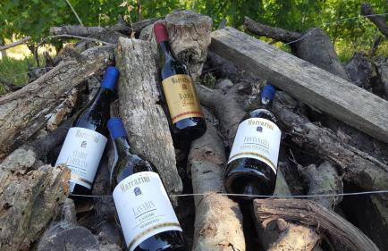 Agriturismo Marcarini - Foto 32