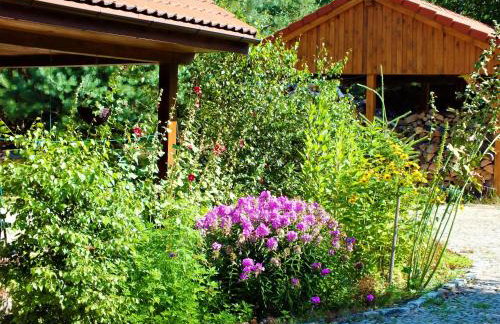 Sumówko Leśne Siedlisko - Foto 11