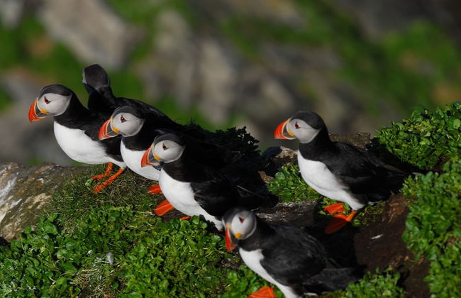 Ekker Island Arctic Lodge - Photo 56