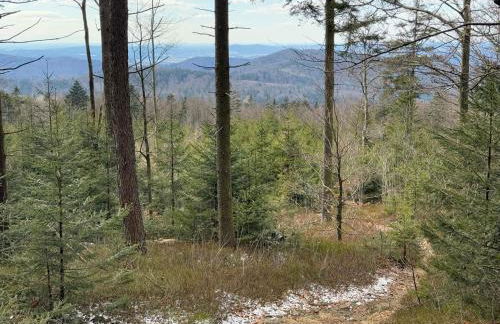 Residenz Göttersitz - Foto 32