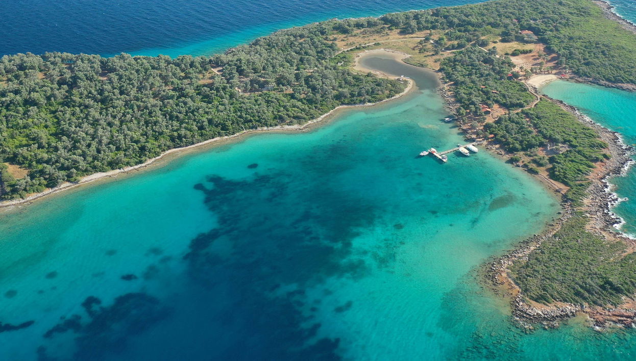 Excursion à l'île Sedir