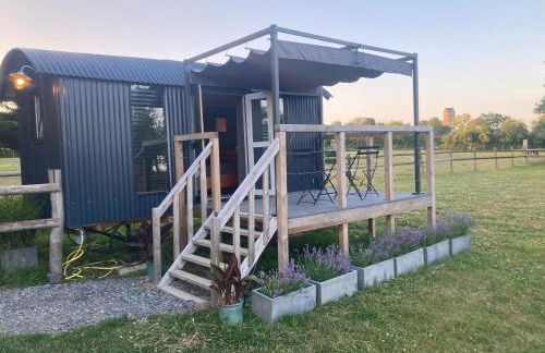 Petit Bijou - Foto 2