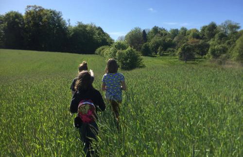 La Petite France - Foto 48