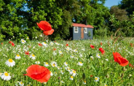 Wellbeing Orchard - Foto 28