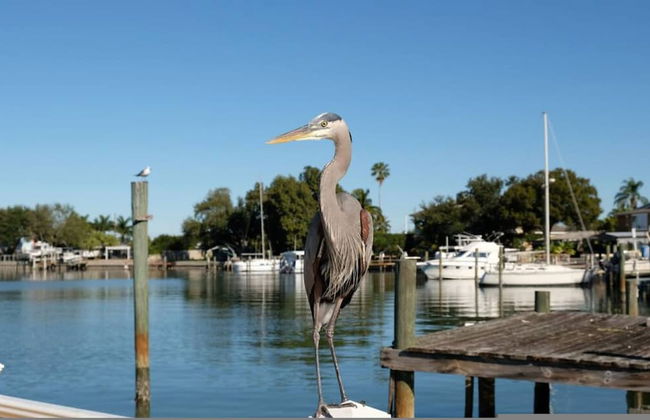 Villa Capri - Waterfront Retreat With Heated Pool - Foto 75