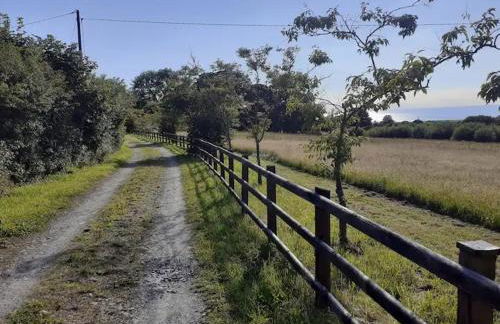 The Bothy - Photo 17