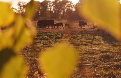 Haus am See - Foto 36