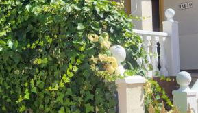 Casa Mario, La Zenia Boulevard area,fantastic 2 bedrooms, 2 bathrooms house with communal swimming pool and barbecue - Photo 2