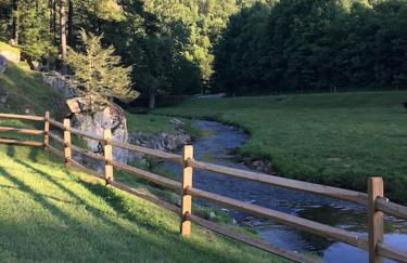 Petting Zoo! Hot Tub, 15 acres, stream & Romance! - Foto 43