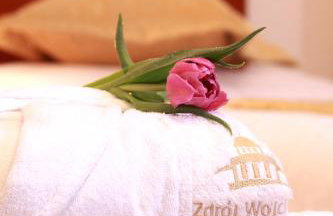 Zdrój Wojciech - Foto 26