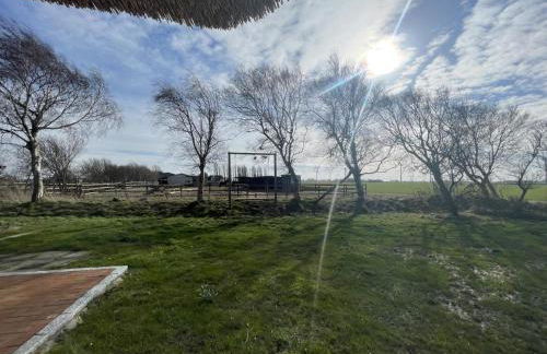 Seedeich 2 - Foto 27