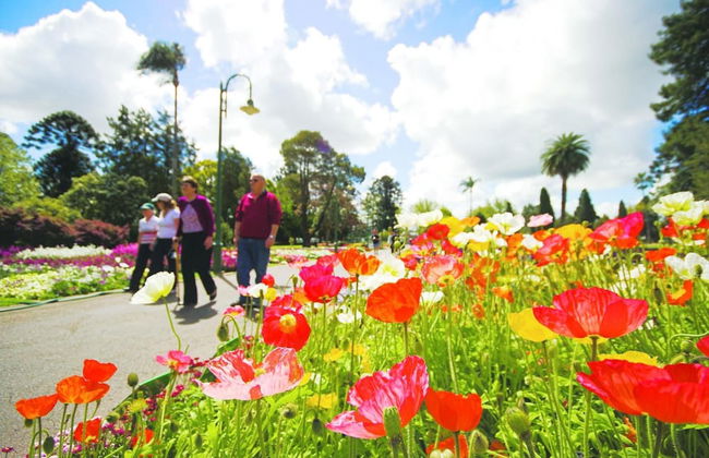 Quest Toowoomba - Foto 26