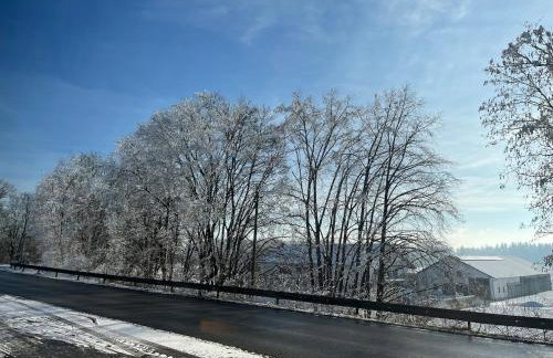 Simplicity - at home - Foto 12