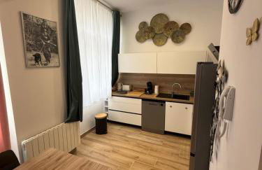 Grand F2 centre-ville, parking privée - Foto 8