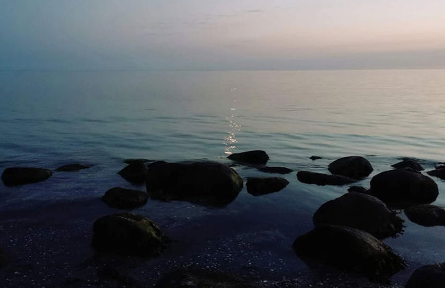 4 Person Holiday Home in Store Fuglede-by Traum - Foto 36